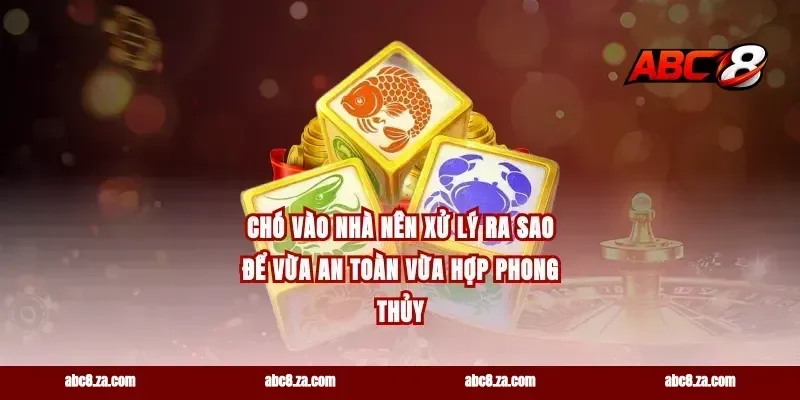 chó vào nhà nên xử lý ra sao để vừa an toàn vừa hợp phong thủy