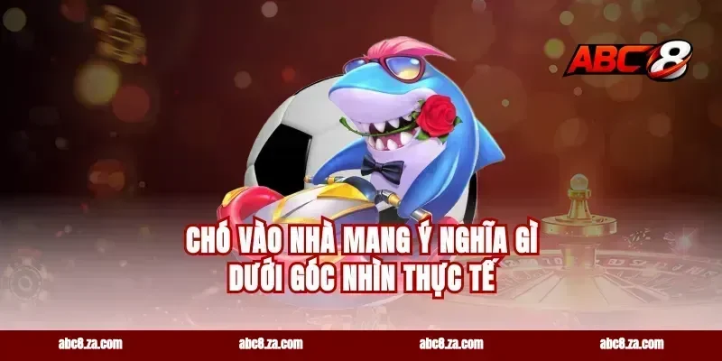 chó vào nhà mang ý nghĩa gì dưới góc nhìn thực tế