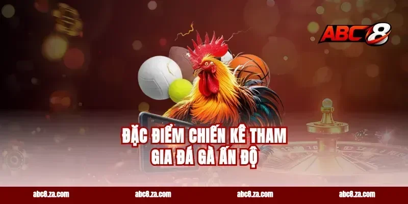 Đặc điểm chiến kê tham gia đá gà Ấn Độ