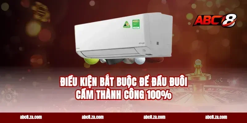 Điều kiện bắt buộc để đầu đuôi cầm thành công 100%