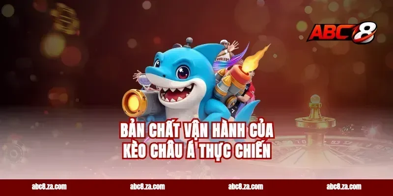 Bản chất vận hành của kèo châu á thực chiến