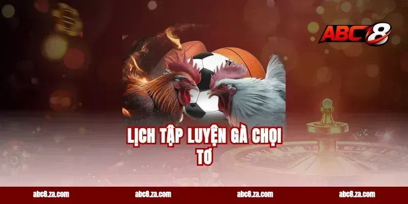 Lịch Tập Luyện Gà Chọi Tơ