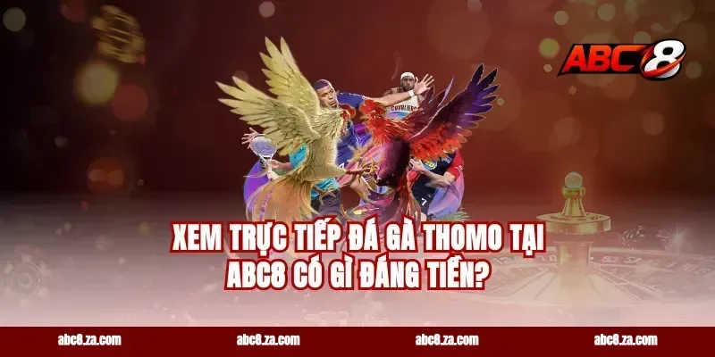 Xem trực tiếp đá gà Thomo tại abc8 có gì đáng tiền?