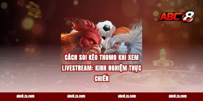 Cách soi kèo Thomo khi xem livestream: kinh nghiệm thực chiến