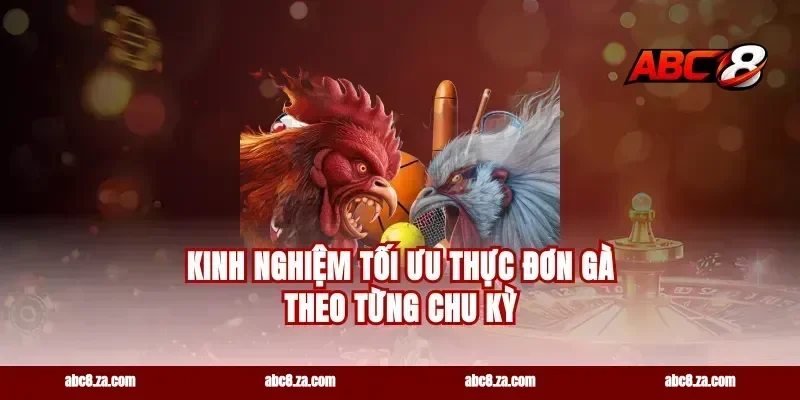Kinh nghiệm tối ưu thực đơn gà theo từng chu kỳ