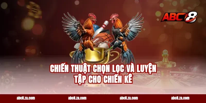 Chiến thuật chọn lọc và luyện tập cho chiến kê