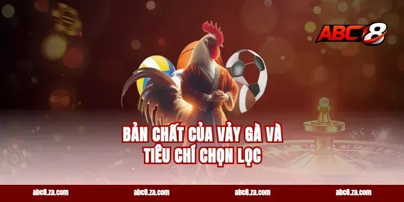 Bản chất của vảy gà và tiêu chí chọn lọc