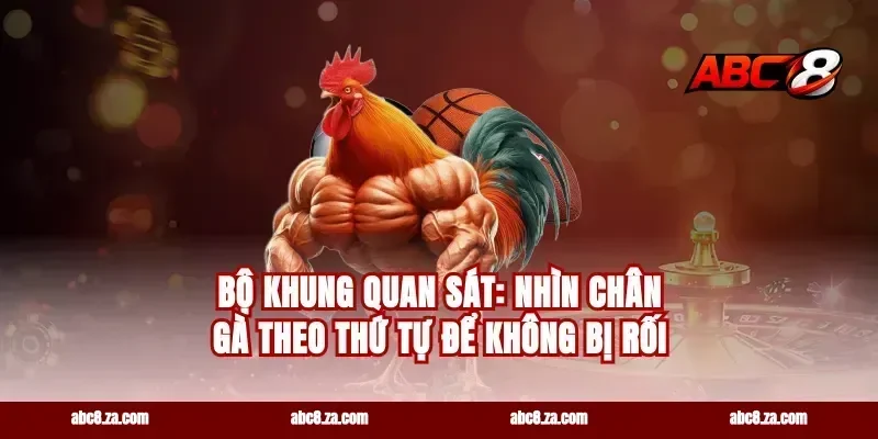 Bộ khung quan sát: nhìn chân gà theo thứ tự để không bị rối